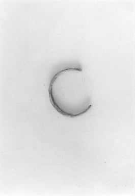 Anello digitale